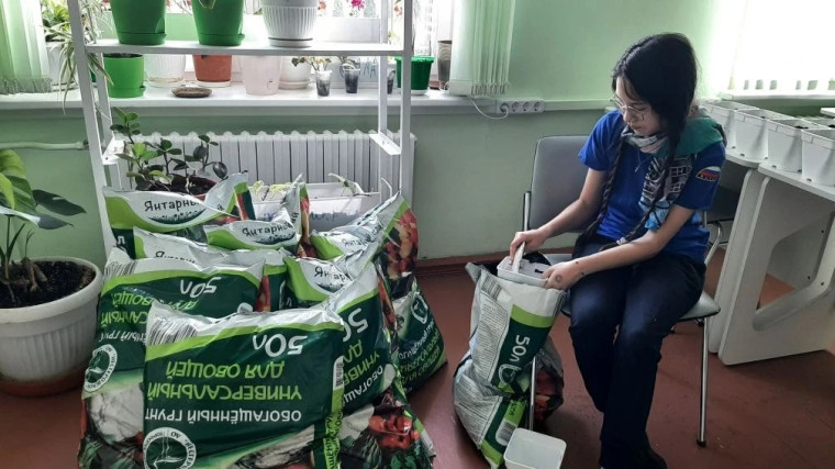 Каникулы — отличное время, чтобы заняться чем‑то полезным и интересным!.